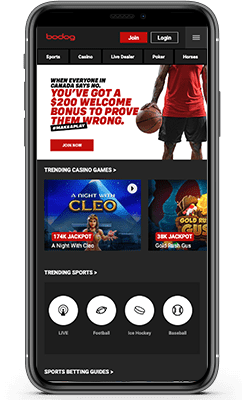 Bodog Review 2022 - Building Trust in Sports Betting